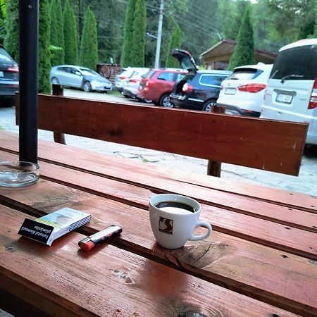 Hotel Popas Balea Rau Cîrţişoara Exteriér fotografie