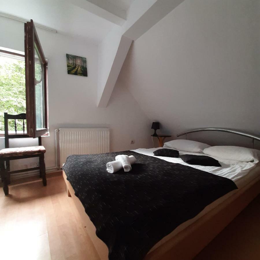 Hotel Popas Balea Rau Cîrţişoara Exteriér fotografie