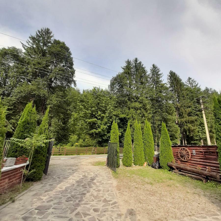 Hotel Popas Balea Rau Cîrţişoara Exteriér fotografie