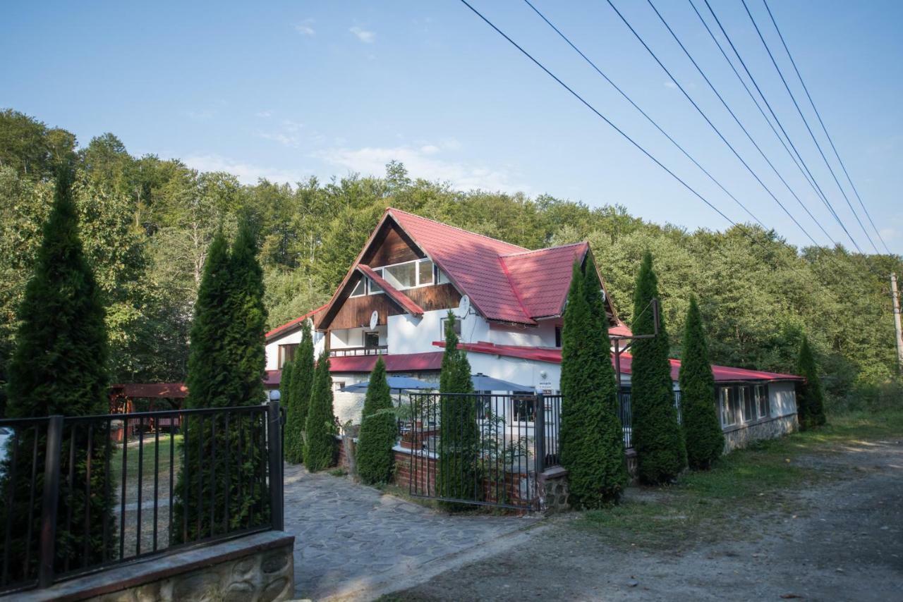 Hotel Popas Balea Rau Cîrţişoara Exteriér fotografie